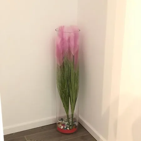 Apartman Ana Appartamento *